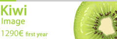 Cycade Kiwi