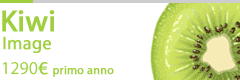 Cycade Kiwi